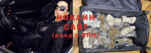 ECSTASY Богданович