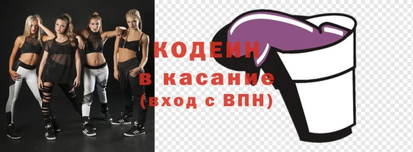ECSTASY Богданович