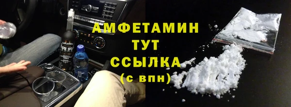 ECSTASY Богданович