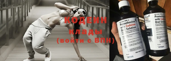 ECSTASY Богданович