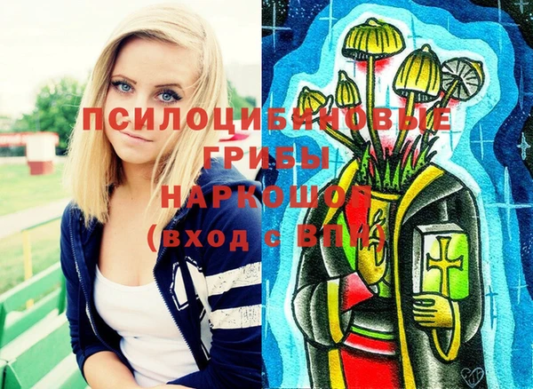 гашик Богородицк