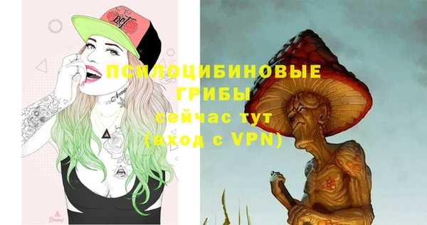 гашик Богородицк