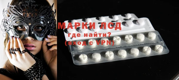 ECSTASY Богданович