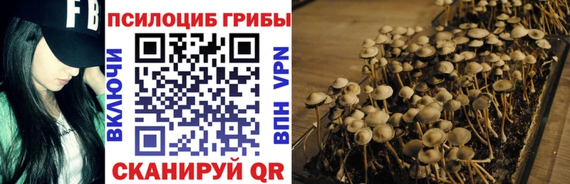 Псилоцибиновые грибы прущие грибы  Окуловка 